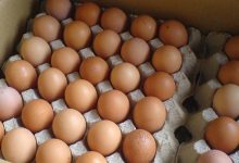 Zehirli yumurta krizi Tayvan’a sıçradı